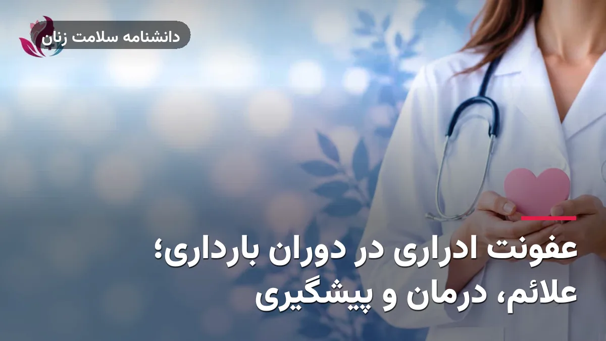 عفونت ادراری در دوران بارداری؛ علائم، درمان و پیشگیری